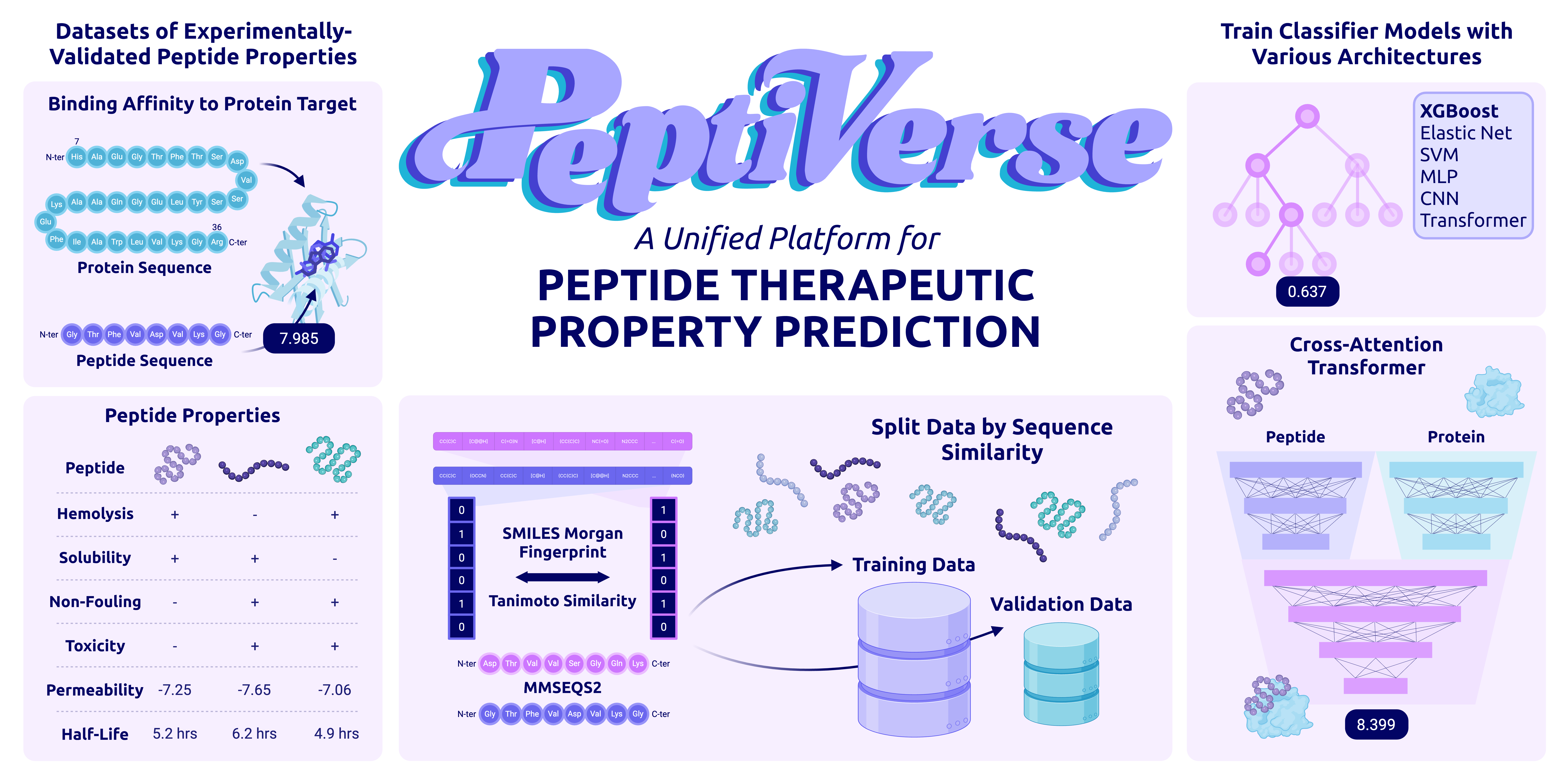 Overview of PeptiVerse