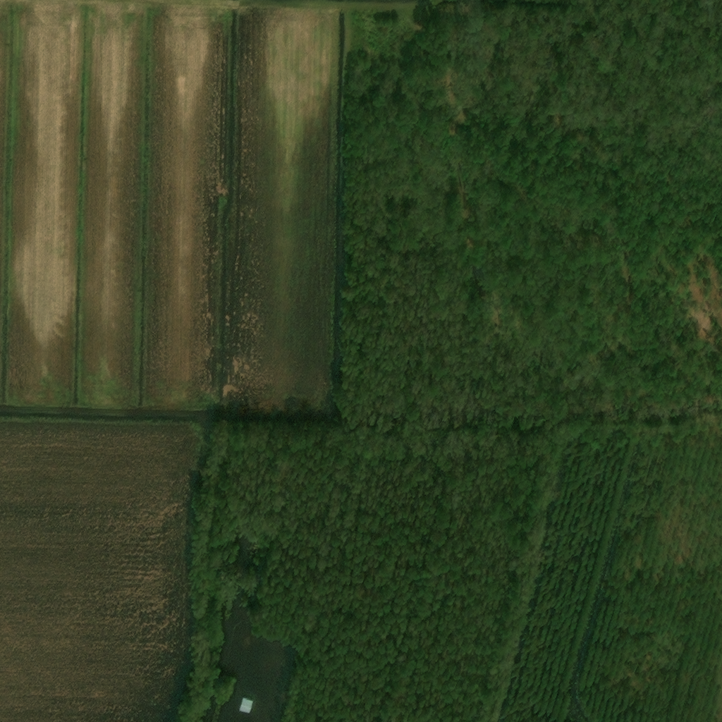 Flood Disaster Example - Florence