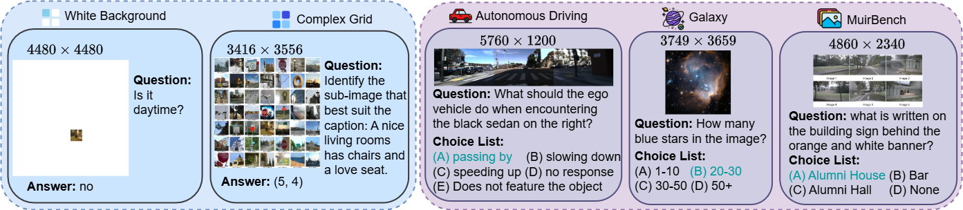 Dataset Sample Image